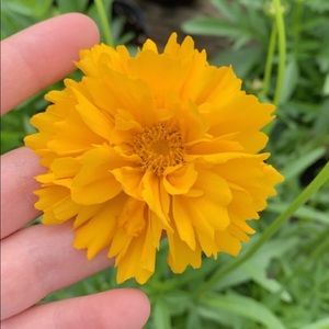 Meet your Posher, Milena